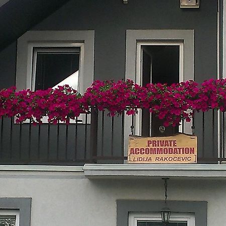 Private Accommodation Lidija Rakocevic Kolašin Екстериор снимка
