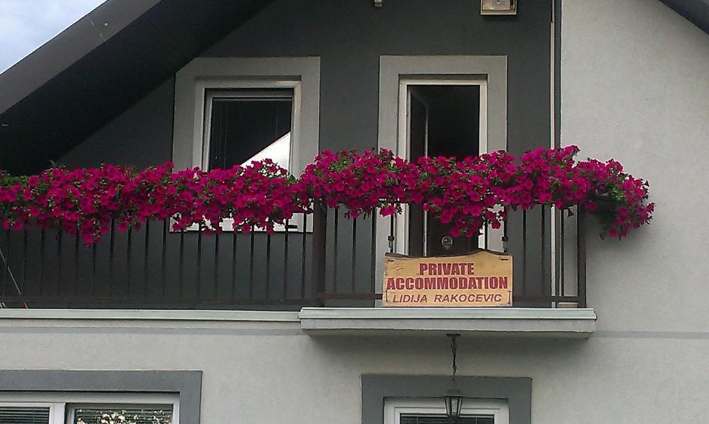 Private Accommodation Lidija Rakocevic Kolašin Екстериор снимка