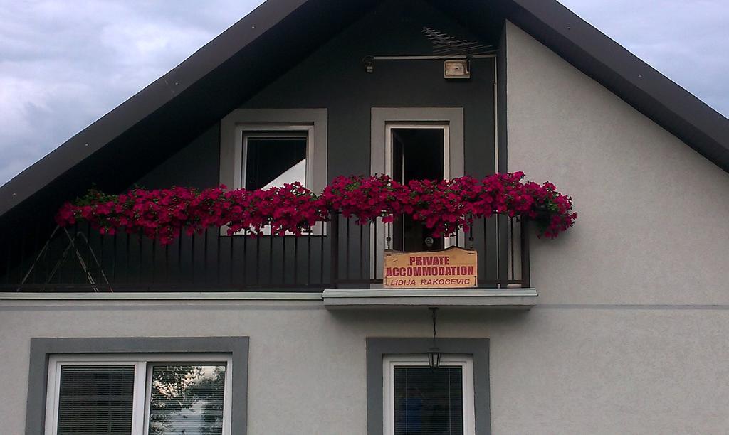 Private Accommodation Lidija Rakocevic Kolašin Екстериор снимка